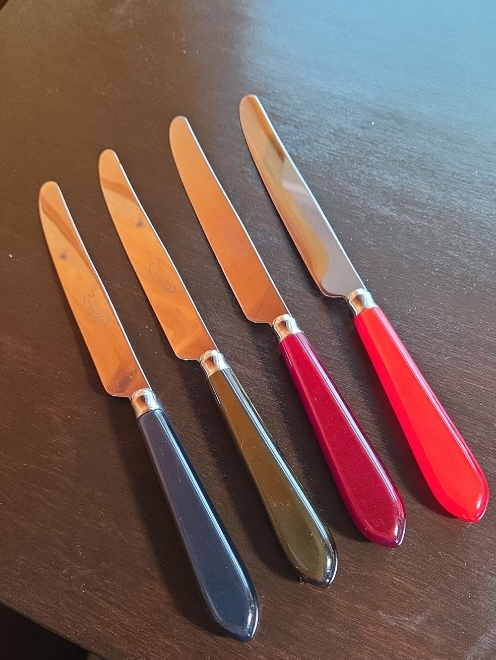 Philippe Deshoulieres Knives Set Of Four Acrylic Handles Made In France
